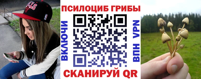 Псилоцибиновые грибы Magic Shrooms  купить наркотик  MEGA   Павловск 